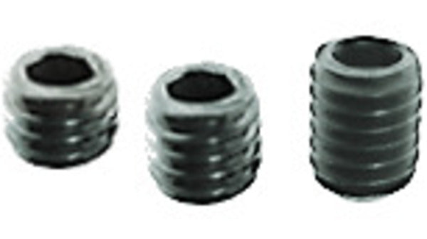 60.1902.13 M5x6 Innensechskant-Schraube