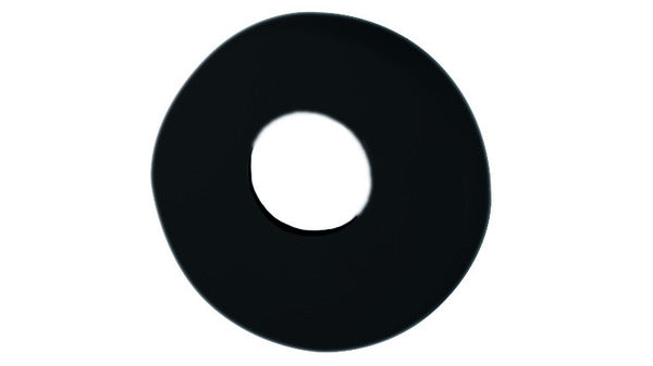 Schlüsselrosette RZ HEWI306.23 Nylon sch