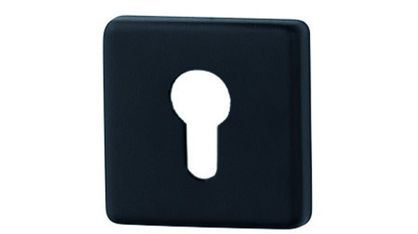 590.52KVS PZ Zylinderrosetten