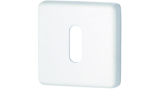 599.52KVS OB Pr Schlüsselrosetten