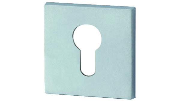 48.1538 PZ Pr Zylinderrosetten