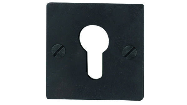 19.196 PZ Zylinderrosette