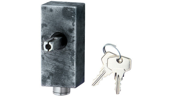 13.494-8 S Rosette mit Zylinder