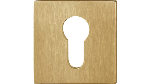 79.E848NS PZ Zylinderrosette