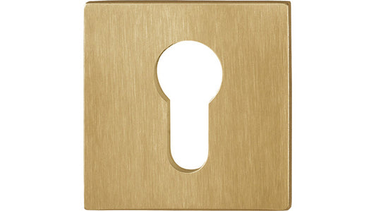 79.E848NS PZ Zylinderrosette