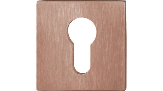 75.E848NS PZ Zylinderrosette