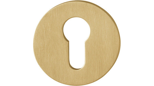 79.E849NS PZ Zylinderrosette