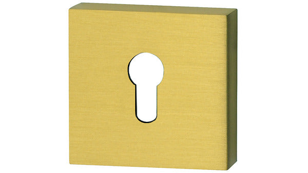 21.1538 PZ Zylinderrosette