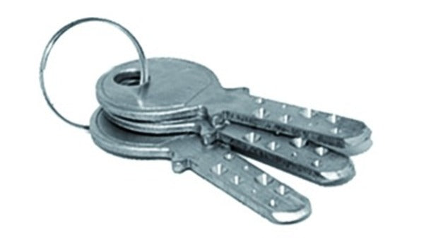 Mehrschlüssel für Rundzylinder