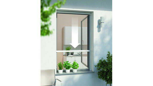 IS Plus Rollo Fenster 200x160cm weiss