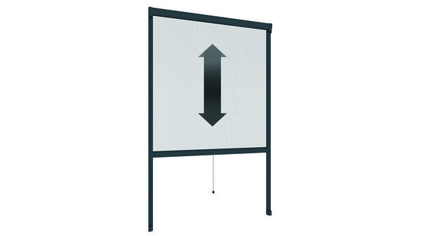 IS Plus Rollo Fenster 100x160cm anthrazi