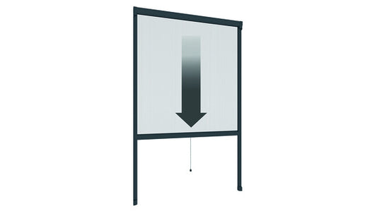 IS Plus Rollo Fenster 160x160cm anthrazi